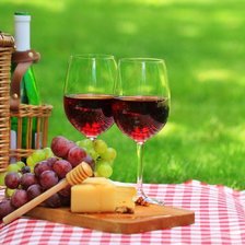 Схема вышивки «Пикник»