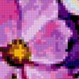 Предпросмотр схемы вышивки «космея» (№382568)