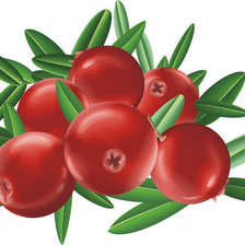 Схема вышивки «клюква»