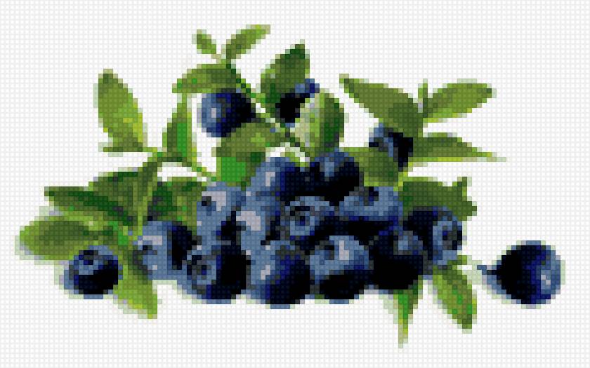 черника - предпросмотр