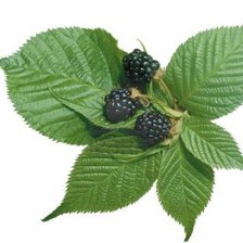 Схема вышивки «№382767»