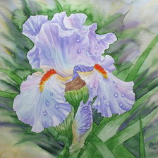 Схема вышивки «4854854»