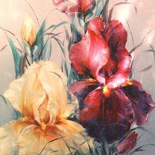 Схема вышивки «іриси»