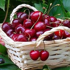 Схема вышивки «вишни»