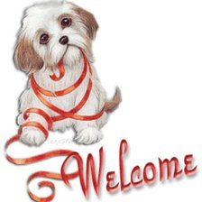 Схема вышивки «welcome»