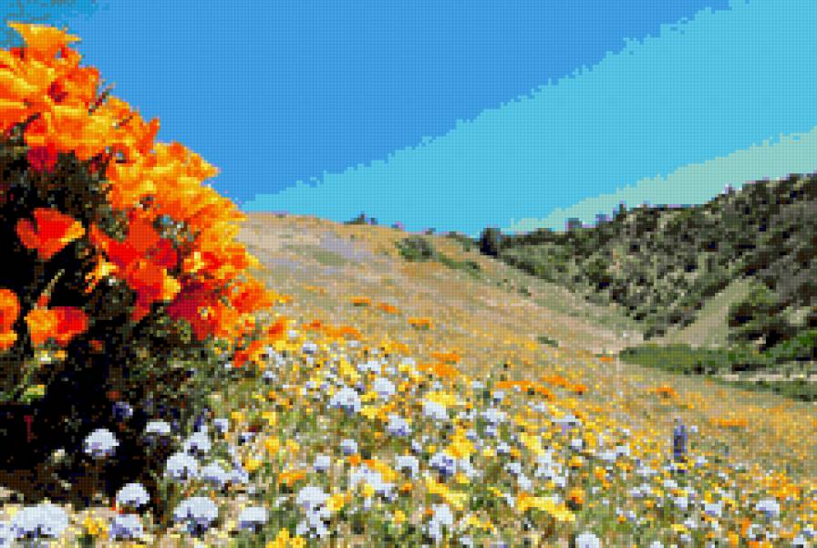 Peizaj 1 - peizaj, makove - предпросмотр