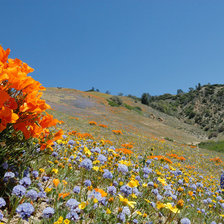 Схема вышивки «Peizaj 1»