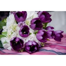 Схема вышивки «laleta»