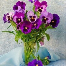 Схема вышивки «анютины глазки2»