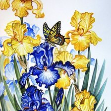 Схема вышивки «ирисы»