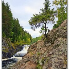 Схема вышивки «серия "природа"»