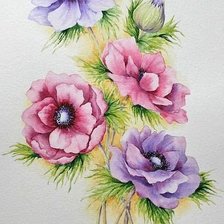 Схема вышивки «анемоны»