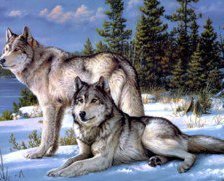 Схема вышивки «пара волков»