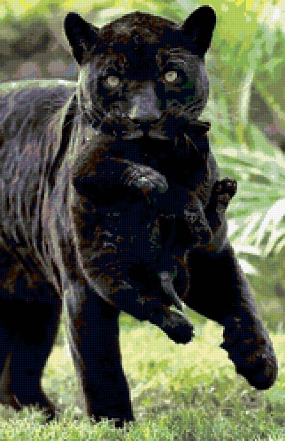 пантера - кот, кошки, черный кот, кошка, глаза, мама, котенок, животные, пантера - предпросмотр