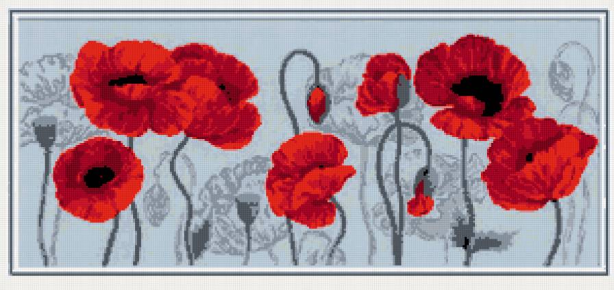 алые маки - маки, цветы - предпросмотр