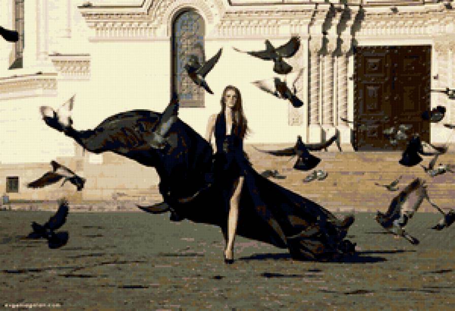 девушка и голуби - голуби, девушка, женщина, образ, она - предпросмотр