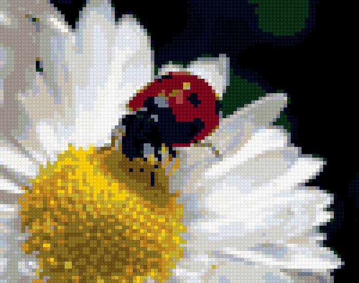 Коровка - природа, насекомые - предпросмотр