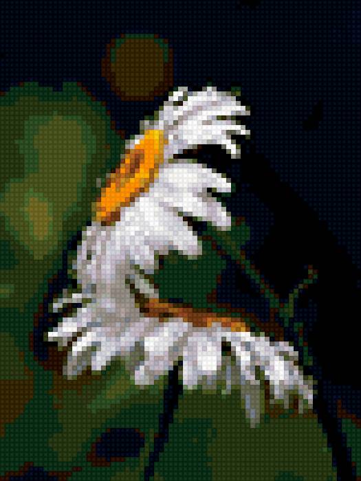 Ромашки - цветы, природа - предпросмотр