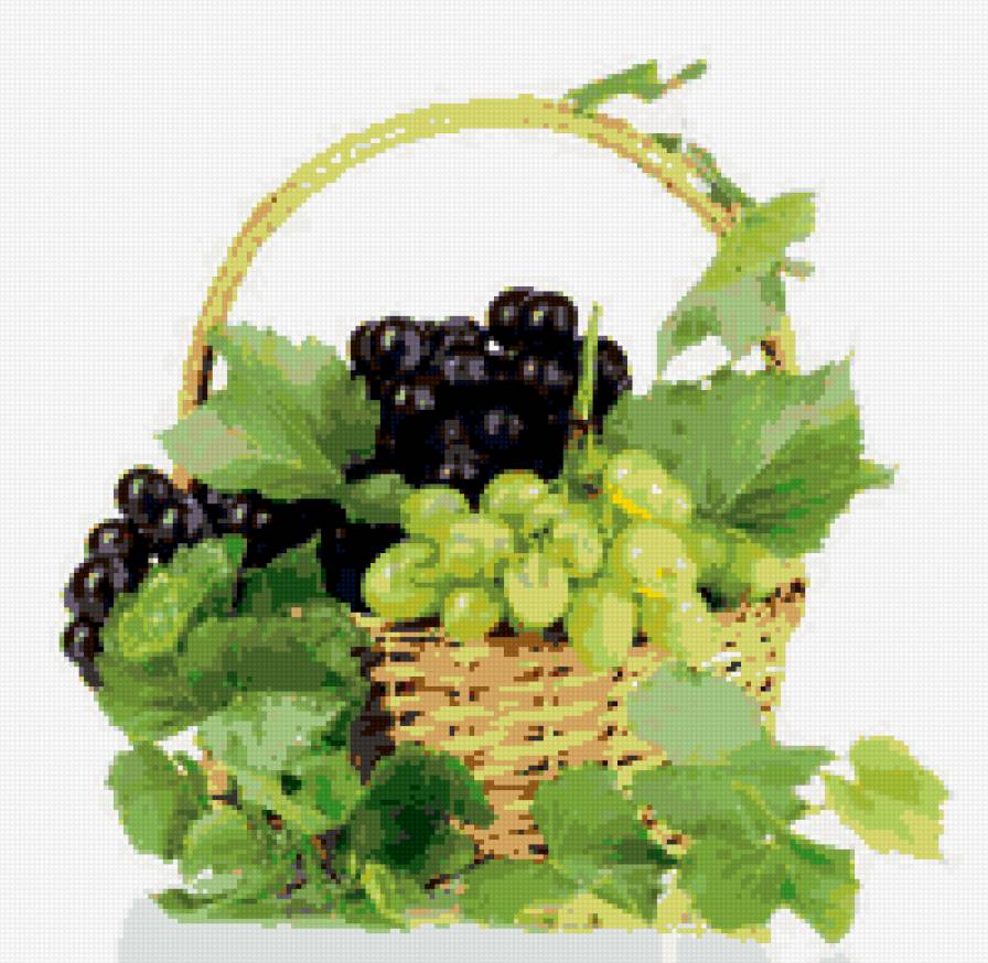 виноград 2 - предпросмотр