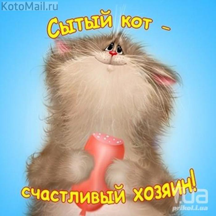 КОТ - кот - оригинал