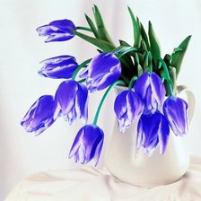 Схема вышивки «Тюльпаны»