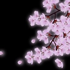 Схема вышивки «№383764»