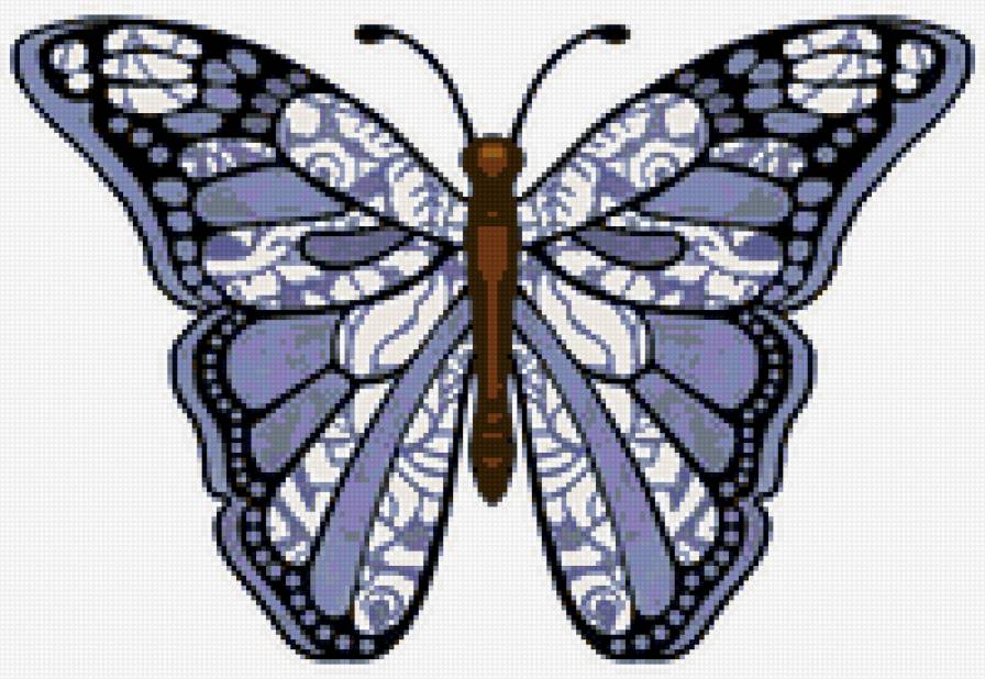 бабочка - природа, красота, бабочка, насекомые - предпросмотр