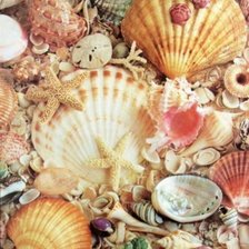 Схема вышивки «Ракушки»