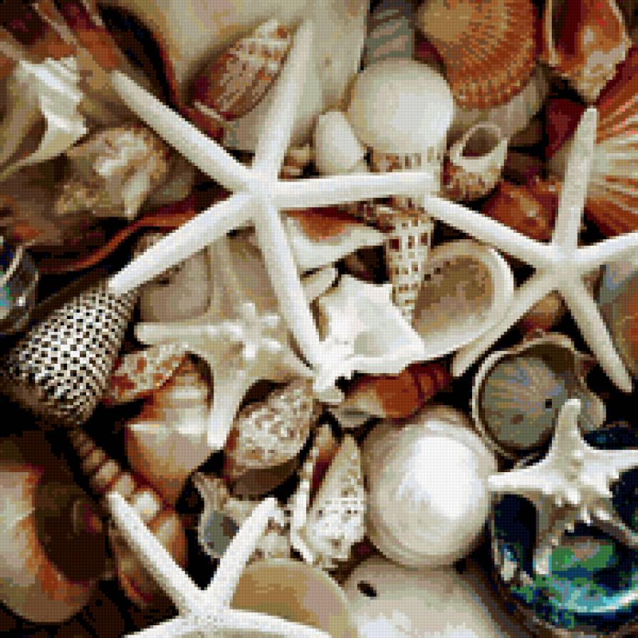 Ракушки - море, песок, ракушки - предпросмотр