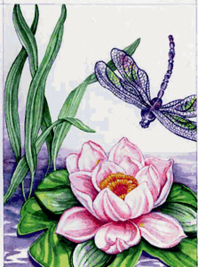 лотос и стрекоза - предпросмотр