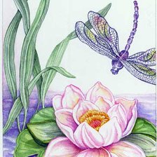 Схема вышивки «лотос и стрекоза»