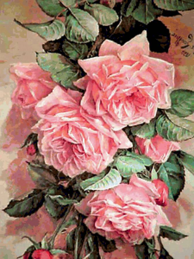 розы - предпросмотр