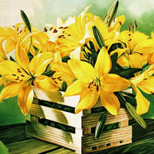 Серия Лилии