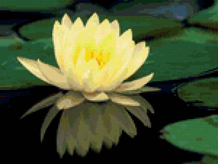 Водяная лилия - предпросмотр