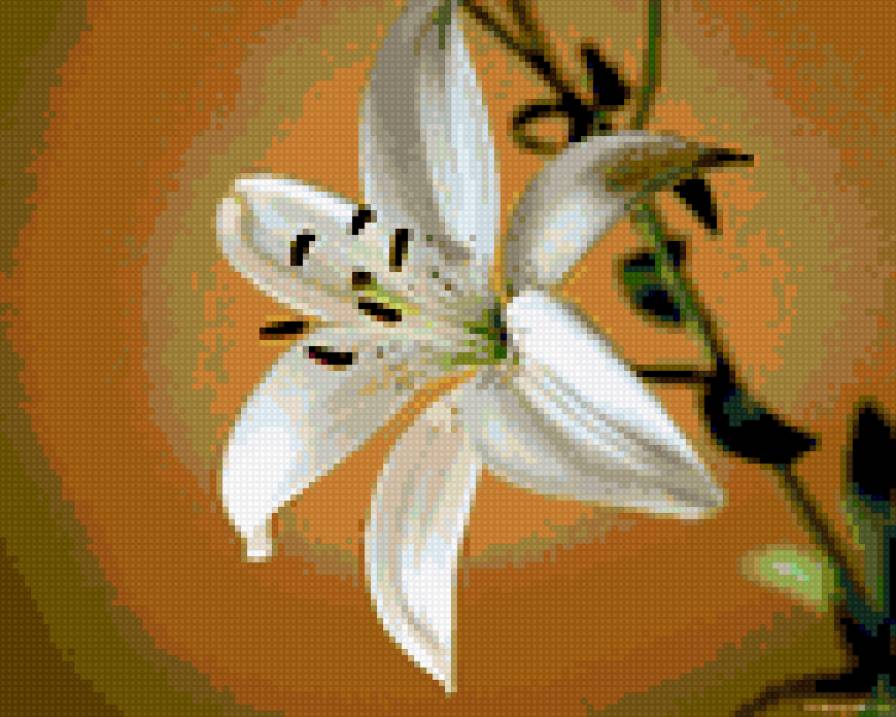 Белая лилия - предпросмотр