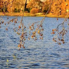 Схема вышивки «Осенний мотив»