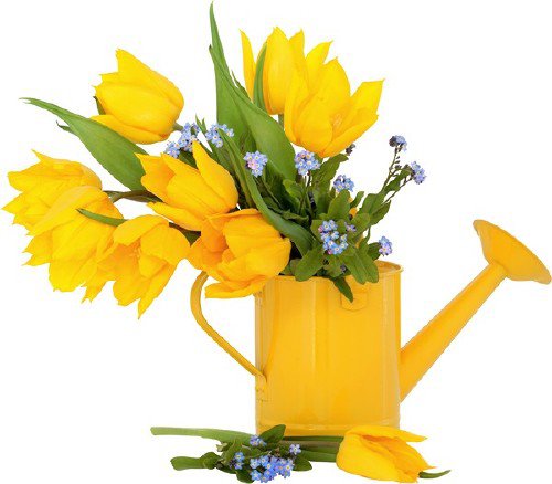 №384641 - оригинал