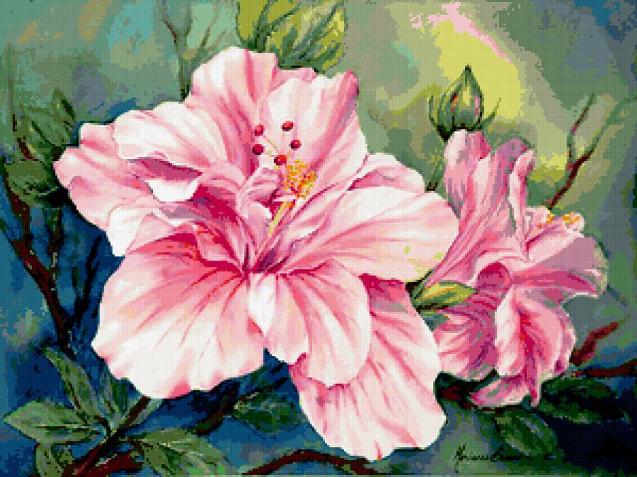 гибискус - предпросмотр