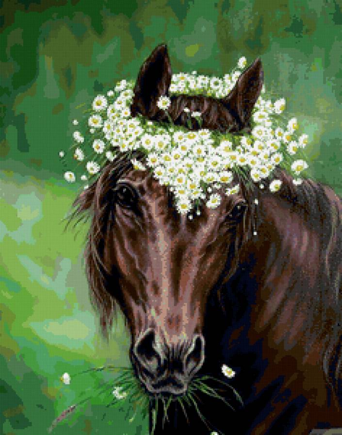 красавица лошадка - предпросмотр