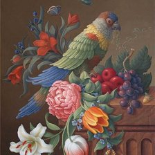 Схема вышивки «птица»