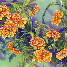 Схема вышивки «бархатцы»