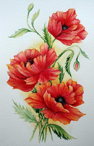 красные маки - оригинал