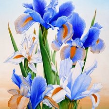 Схема вышивки «ирисы»