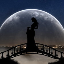 Схема вышивки «Силуэт на фоне луны»