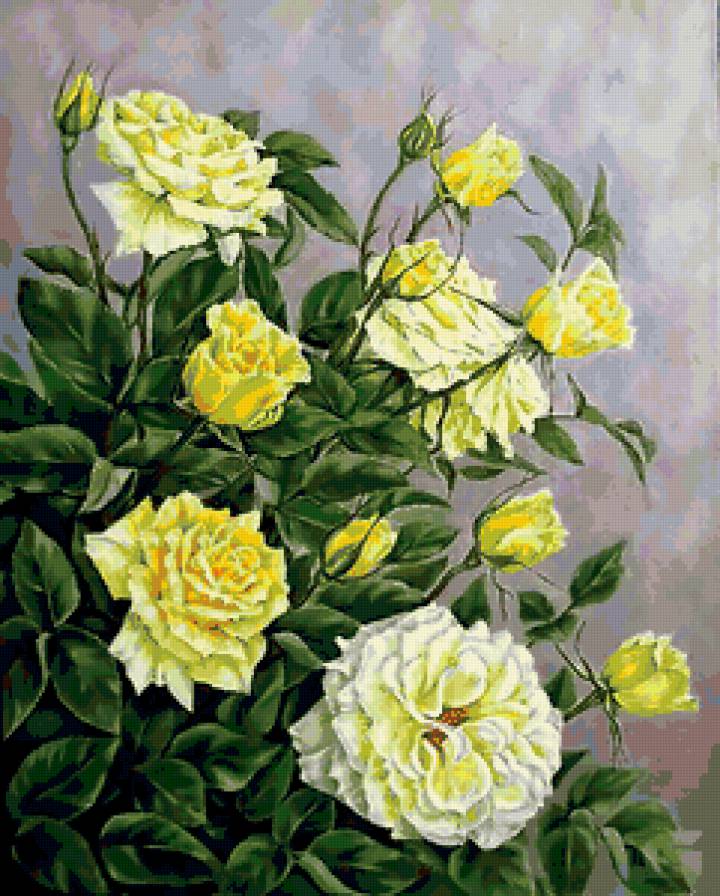 прекрасные розы - предпросмотр