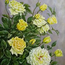 прекрасные розы