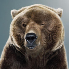 Схема вышивки «медведь12»