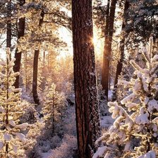 Схема вышивки «мороз и солнце...»