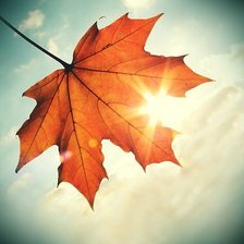 Схема вышивки «кленовый лист»