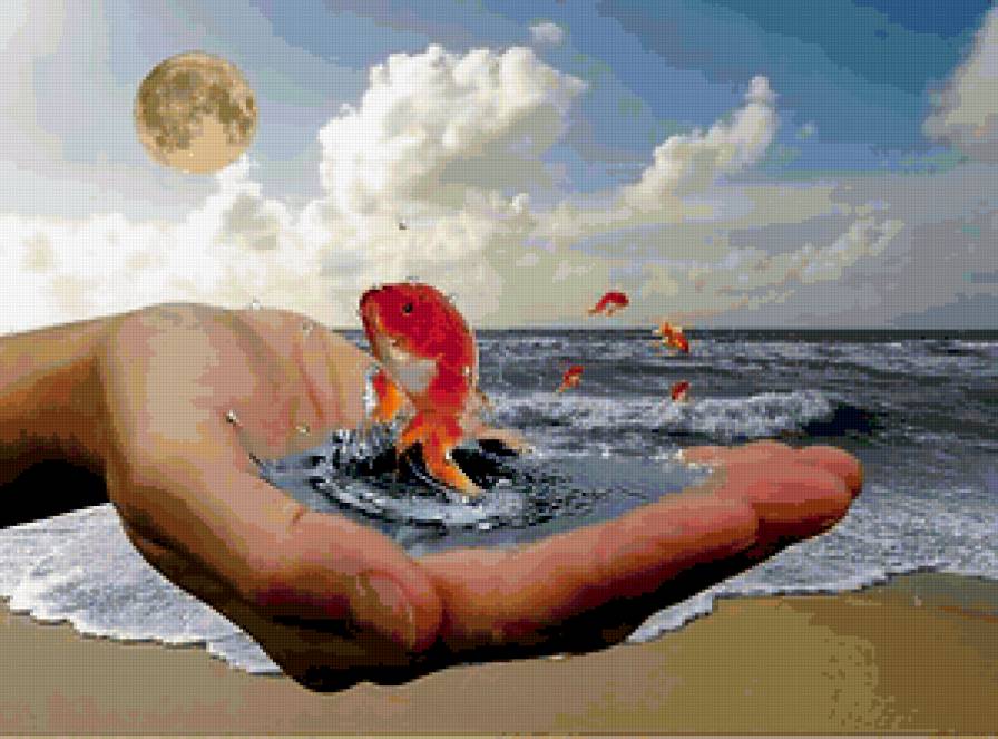 золотая рыбка - предпросмотр